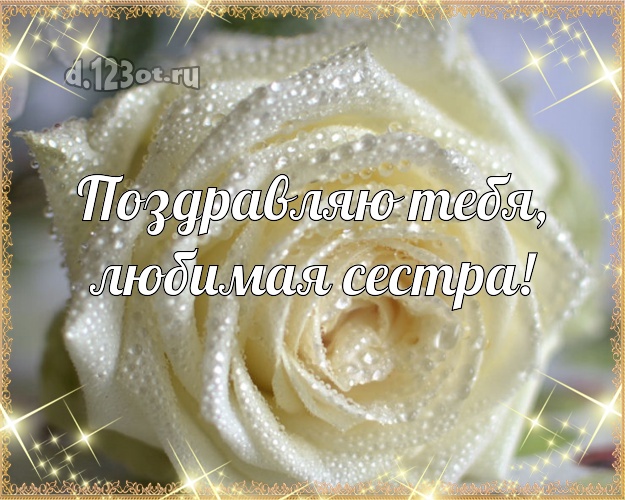 Поздравляю Тебя, любимая сестра! Душевная картинка лучшей сестре на свете с розой для вацап, для telegram, для вк, для facebook, для одноклассники! Скачать онлайн бесплатно для вацап!