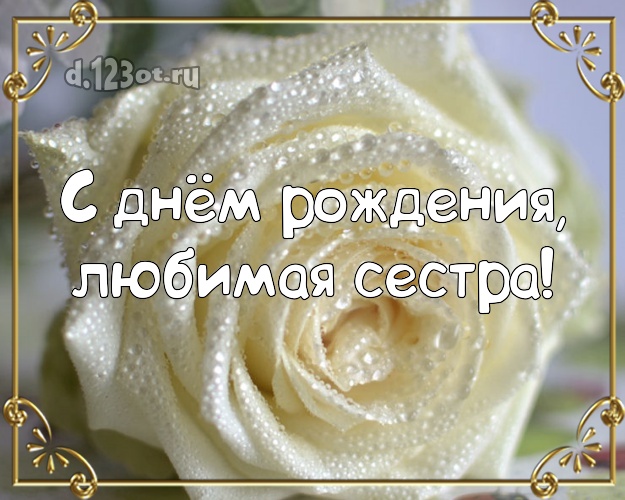 С днём рождения, любимая сестра! Душевная картинка классной сестре с фотками розы для вацап, для telegram, для vk, для фейсбук, для одноклассники! Скачать онлайн бесплатно для вацап!