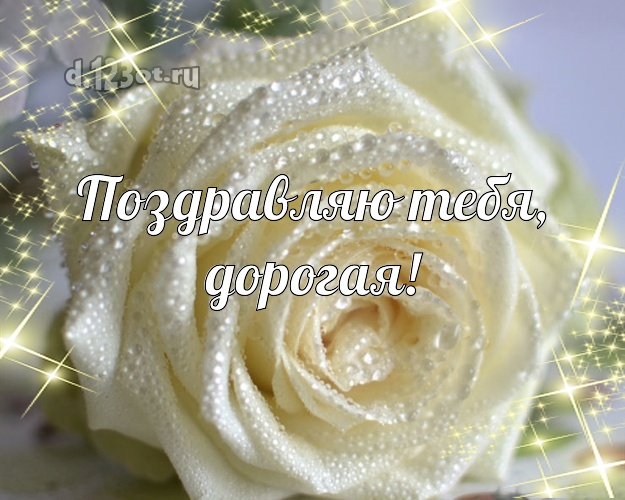 Поздравляю Тебя, дорогая! Душевная картинка для женщины с фотками розы для whatsApp, для телеграм, для вк, для фейсбука, для одноклассники! Скачать онлайн бесплатно для вацап!