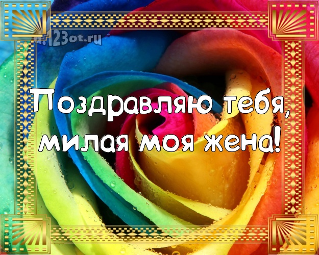 Поздравляю Тебя, милая моя жена! Чудесная открытка для классной жены с розочками для ватсапа, для телеграм, для vk, для facebook, для одноклассников! Скачать онлайн бесплатно для вацап!