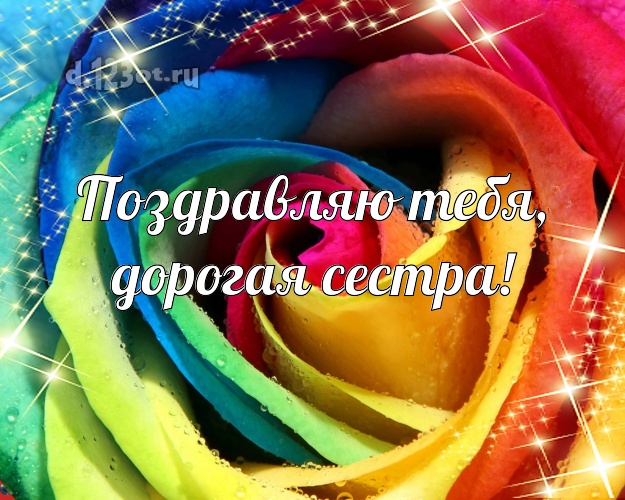 Поздравляю Тебя, дорогая сестра! Манящая открытка классной сестре с розочками для вацап, для telegram, для вконтакте, для фейсбука, для одноклассников! Скачать онлайн бесплатно для вацап!