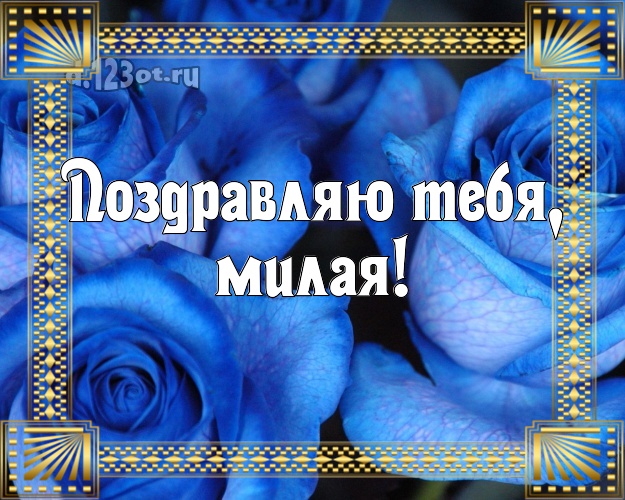 Поздравляю Тебя, милая! Великолепная картинка классной девчонке с фотками розы для вацап, для телеграм, для вконтакте, для фейсбук, для одноклассников! Скачать онлайн бесплатно для вацап!