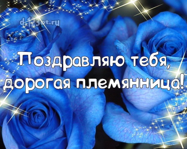 Поздравляю Тебя, дорогая племянница! Поздравляю Тебя, дорогая племянница! Дивная картинка для любимой племянницы с розой для вацап, для телеграм, для вк, для фейсбука, для одноклассников! Скачать онлайн бесплатно для вацап!