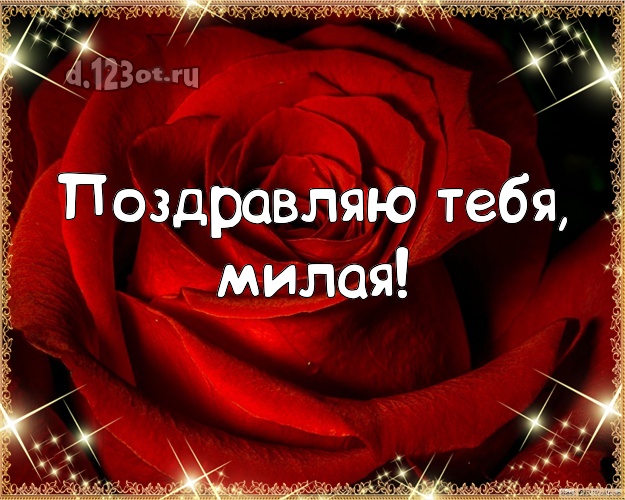Поздравляю Тебя, милая! Дивная картинка любимой девушке с фотками розы для ватсапа, для telegram, для вк, для facebook, для одноклассники! Скачать онлайн бесплатно для вацап!