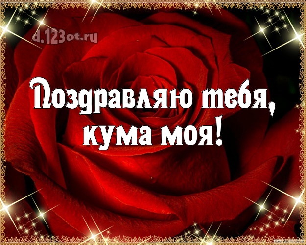 Поздравляю Тебя, кума моя! Дивная картинка классной куме с шикарными розами для ватсапа, для телеграм, для вк, для фейсбук, для одноклассники! Скачать онлайн бесплатно для вацап!
