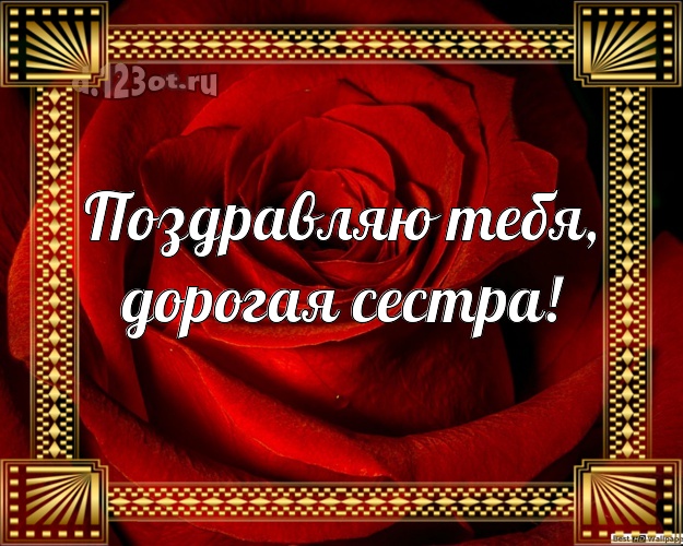 Поздравляю Тебя, дорогая сестра! Забавная картинка классной сестре с красивыми розами для ватсапа, для телеграм, для vk, для facebook, для одноклассников! Скачать онлайн бесплатно для вацап!
