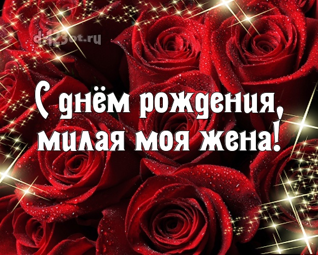 С днём рождения, милая моя жена! Великолепная открытка любимой жене с шикарными розами для whatsApp, для telegram, для вконтакте, для фейсбука, для одноклассников! Скачать онлайн бесплатно для вацап!