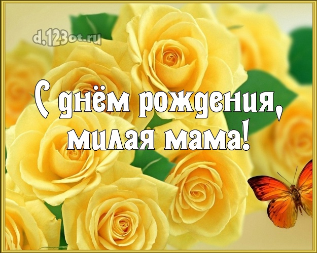 С днём рождения, милая мама! Забавная открытка классной маме с розами для ватсапа, для telegram, для vk, для фейсбук, для одноклассники! Скачать онлайн бесплатно для вацап!