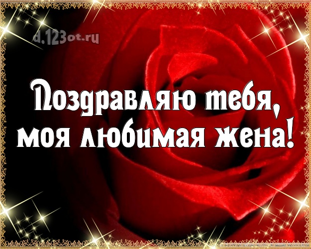 Поздравляю Тебя, моя любимая жена! Чудесная открытка любимой жене с красивой розой для ватсапа, для telegram, для вк, для facebook, для одноклассники! Скачать онлайн бесплатно для вацап!