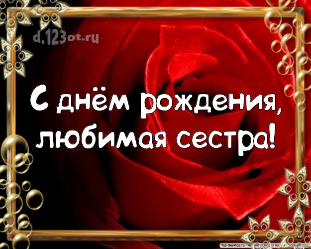 С днём рождения, любимая сестра! Трогательная картинка для классной сестры с розой для whatsApp, для telegram, для вк, для facebook, для одноклассников! Скачать онлайн бесплатно для вацап!
