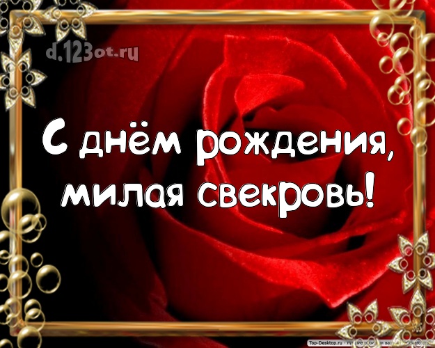 С днём рождения, милая свекровь! Трогательная открытка для любимой свекрови с шикарными розами для whatsApp, для telegram, для vk, для фейсбук, для одноклассников! Скачать онлайн бесплатно для вацап!