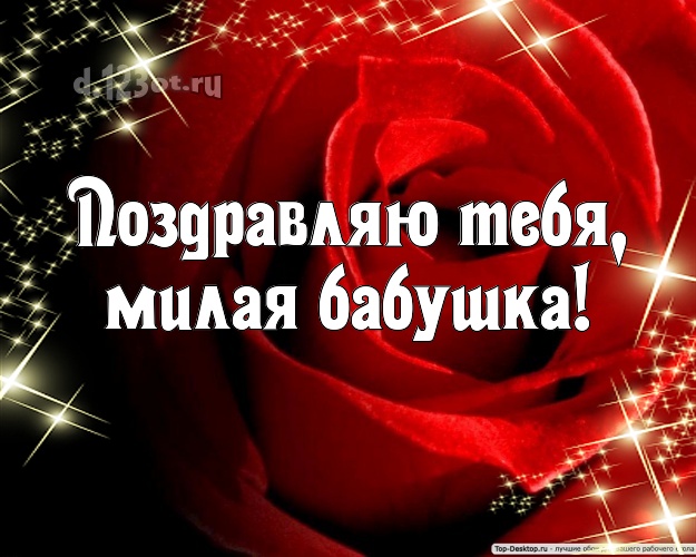 Поздравляю Тебя, милая бабушка! Манящая открытка классной бабушке с красивой розой для ватсапа, для телеграм, для вк, для фейсбука, для одноклассников! Скачать онлайн бесплатно для вацап!