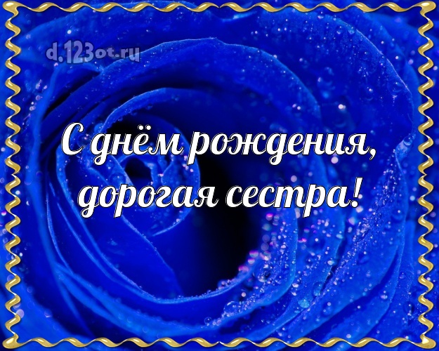 С днём рождения, дорогая сестра! Забавная открытка для классной сестры с розами для whatsApp, для телеграм, для вконтакте, для фейсбук, для одноклассники! Скачать онлайн бесплатно для вацап!