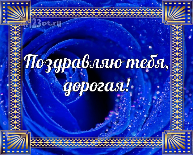 Поздравляю Тебя, дорогая! Лучшая картинка для любимой жены с фотками розы для whatsApp, для telegram, для vk, для фейсбука, для одноклассников! Скачать онлайн бесплатно для вацап!