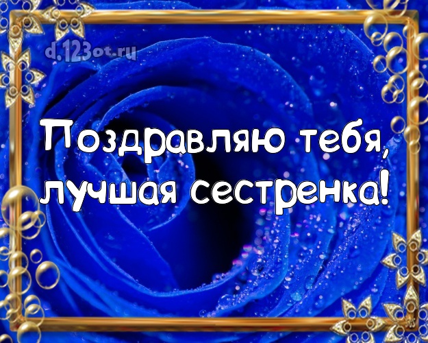 Поздравляю Тебя, лучшая сестренка! Забавная картинка лучшей сестре на свете с розами для whatsApp, для телеграм, для вк, для фейсбука, для одноклассники! Скачать онлайн бесплатно для вацап!
