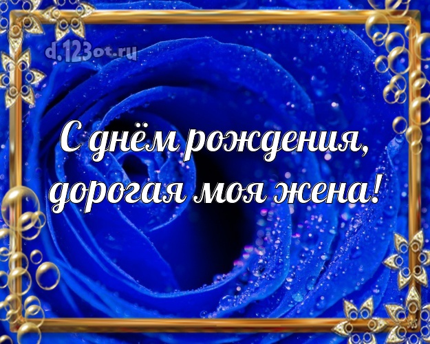 С днём рождения, дорогая моя жена! Манящая открытка для классной жены с шикарными розами для вацап, для telegram, для вконтакте, для фейсбука, для одноклассники! Скачать онлайн бесплатно для вацап!