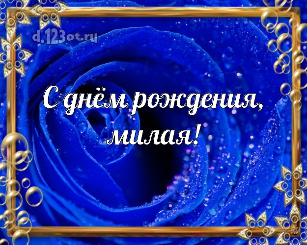 С днём рождения, милая! Чудесная картинка даме с розочками для whatsApp, для telegram, для вконтакте, для фейсбука, для одноклассники! Скачать онлайн бесплатно для вацап!