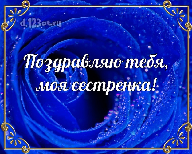 Поздравляю Тебя, моя сестренка! Ангельская картинка для лучшей сестры с фотками розы для ватсапа, для telegram, для вконтакте, для фейсбук, для одноклассников! Скачать онлайн бесплатно для вацап!