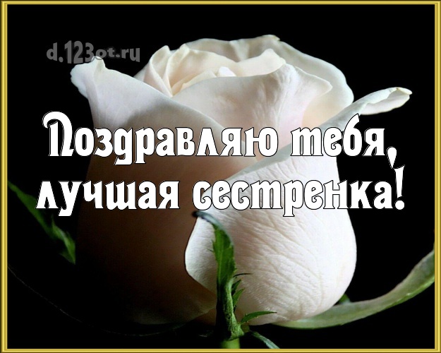 Поздравляю Тебя, лучшая сестренка! Душевная картинка для классной сестры с розами для вацап, для telegram, для вк, для фейсбук, для одноклассников! Скачать онлайн бесплатно для вацап!