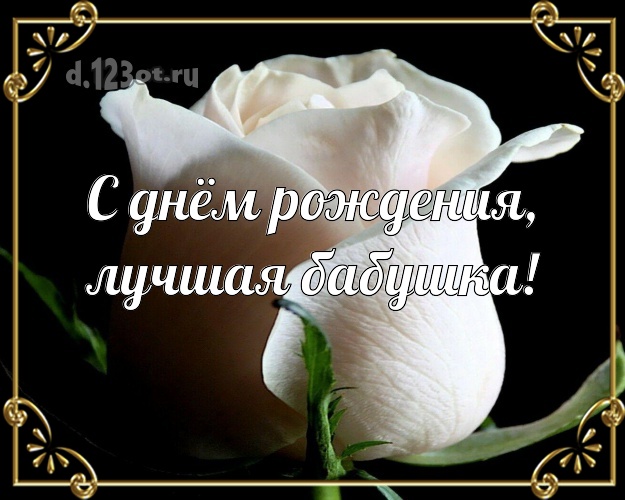 С днём рождения, лучшая бабушка! Лучшая открытка для классной бабушки с фотками розы для ватсапа, для telegram, для vk, для фейсбука, для одноклассники! Скачать онлайн бесплатно для вацап!
