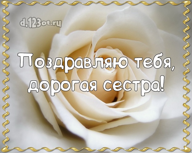 Поздравляю Тебя, дорогая сестра! Лучшая открытка лучшей сестре на свете с фотками розы для ватсапа, для telegram, для vk, для facebook, для одноклассники! Скачать онлайн бесплатно для вацап!