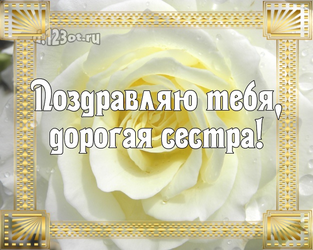 Поздравляю Тебя, дорогая сестра! Манящая картинка лучшей сестре на свете с розой для ватсапа, для telegram, для вк, для facebook, для одноклассников! Скачать онлайн бесплатно для вацап!
