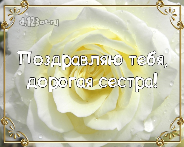 Поздравляю Тебя, дорогая сестра! Трогательная открытка классной сестре с цветами (розами) для ватсапа, для телеграм, для vk, для facebook, для одноклассники! Скачать онлайн бесплатно для вацап!