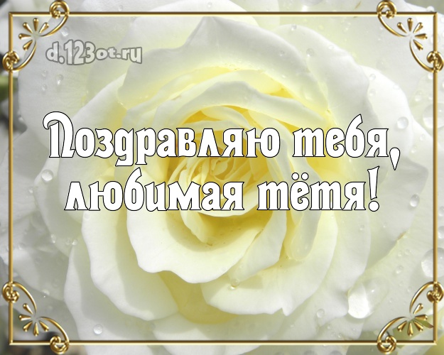 Поздравляю Тебя, любимая тётя! Трогательная открытка лучшей тёте на свете с фотками розы для вацап, для телеграм, для вконтакте, для facebook, для одноклассники! Скачать онлайн бесплатно для вацап!