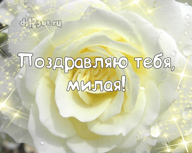 Поздравляю Тебя, милая! Душевная открытка для дамы с шикарными розами для whatsApp, для telegram, для вконтакте, для фейсбука, для одноклассников! Скачать онлайн бесплатно для вацап!
