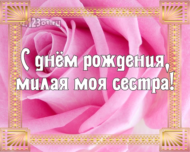 С днём рождения, милая моя сестра! Дивная картинка лучшей сестре на свете с шикарными розами для ватсапа, для телеграм, для вконтакте, для facebook, для одноклассников! Скачать онлайн бесплатно для вацап!