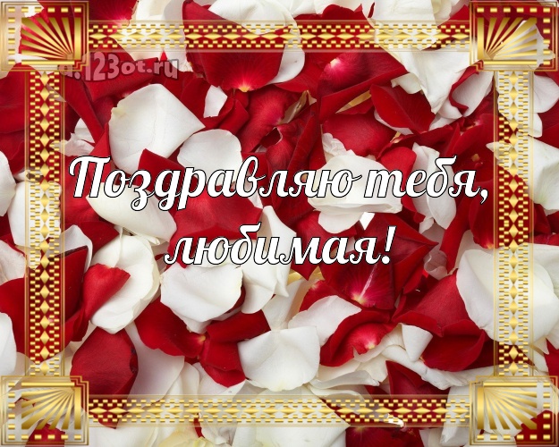 Поздравляю Тебя, любимая! Дивная открытка любимой жене с красивой розой для ватсапа, для телеграм, для вконтакте, для фейсбука, для одноклассники! Скачать онлайн бесплатно для вацап!