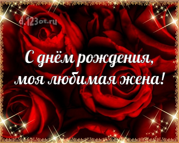 С днём рождения, моя любимая жена! Великолепная картинка любимой жене с розой для ватсапа, для telegram, для вк, для фейсбук, для одноклассников! Скачать онлайн бесплатно для вацап!