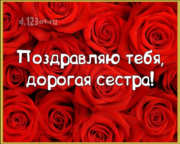 Поздравляю Тебя, дорогая сестра! Чудесная картинка для лучшей сестры с фотками розы для ватсапа, для telegram, для вк, для фейсбука, для одноклассники! Скачать онлайн бесплатно для вацап!