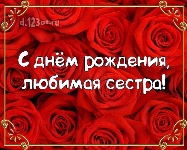 С днём рождения, любимая сестра! Забавная открытка для классной сестры с красивыми розами для ватсапа, для телеграм, для вк, для фейсбук, для одноклассников! Скачать онлайн бесплатно для вацап!