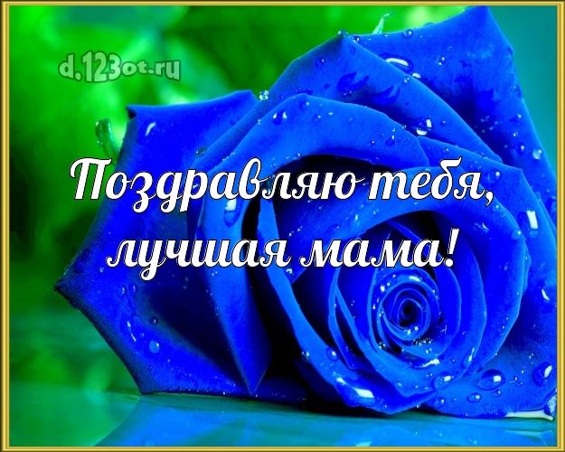 Поздравляю Тебя, лучшая мама! Манящая открытка для лучшей мамы с фотками розы для ватсапа, для телеграм, для vk, для facebook, для одноклассники! Скачать онлайн бесплатно для вацап!