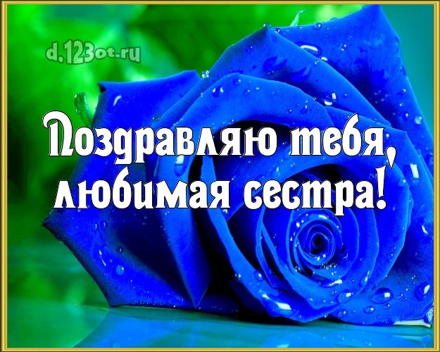 Поздравляю Тебя, любимая сестра! Ангельская открытка для классной сестры с красивыми розами для whatsApp, для телеграм, для вк, для facebook, для одноклассников! Скачать онлайн бесплатно для вацап!