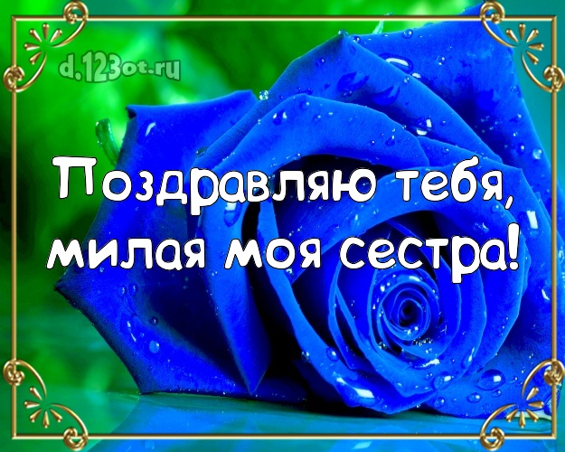 Поздравляю Тебя, милая моя сестра! Забавная открытка для лучшей сестры с красивыми розами для вацап, для telegram, для vk, для facebook, для одноклассников! Скачать онлайн бесплатно для вацап!