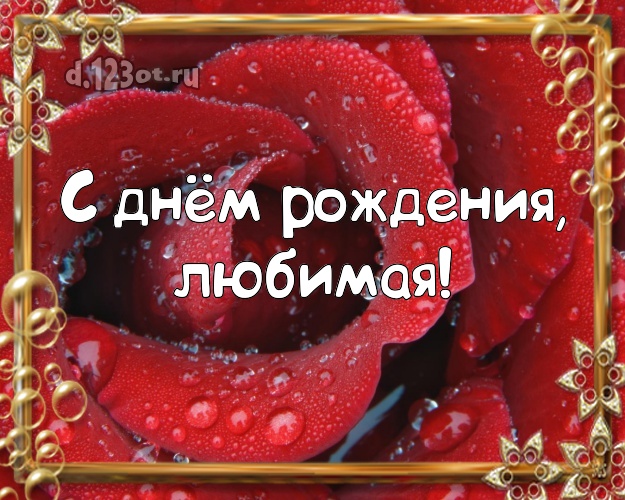 С днём рождения, любимая! Манящая открытка женщине с цветами для whatsApp, для telegram, для вк, для фейсбук, для одноклассников! Скачать онлайн бесплатно для вацап!