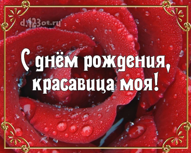 С днём рождения, красавица моя! Манящая картинка для любимой жены с розами для вацап, для telegram, для vk, для facebook, для одноклассников! Скачать онлайн бесплатно для вацап!