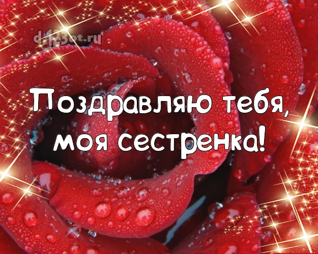 Поздравляю Тебя, моя сестренка! Чудесная картинка для лучшей сестры с розами для ватсапа, для telegram, для vk, для фейсбук, для одноклассников! Скачать онлайн бесплатно для вацап!