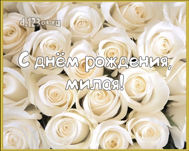 С днём рождения, милая! Манящая открытка даме с шикарными розами для ватсапа, для телеграм, для vk, для facebook, для одноклассников! Скачать онлайн бесплатно для вацап!