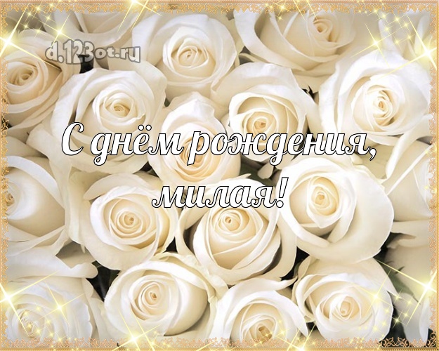 С днём рождения, милая! Забавная открытка для дамы с цветами для whatsApp, для telegram, для вк, для фейсбука, для одноклассников! Скачать онлайн бесплатно для вацап!