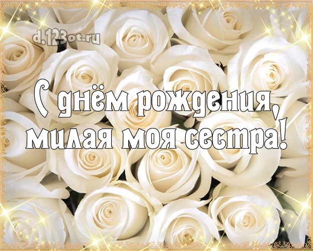 С днём рождения, милая моя сестра! Трогательная картинка для лучшей сестры с розой для whatsApp, для телеграм, для вконтакте, для facebook, для одноклассников! Скачать онлайн бесплатно для вацап!