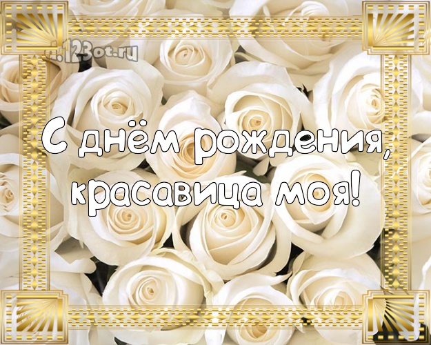 С днём рождения, красавица моя! Трогательная картинка классной жене с розочками для вацап, для telegram, для vk, для facebook, для одноклассники! Скачать онлайн бесплатно для вацап!