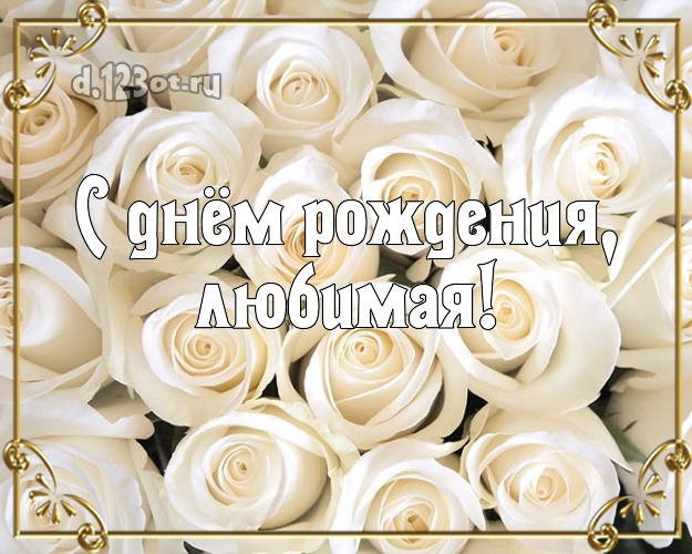 С днём рождения, любимая! Душевная открытка классной девчонке с красивой розой для whatsApp, для telegram, для vk, для facebook, для одноклассников! Скачать онлайн бесплатно для вацап!