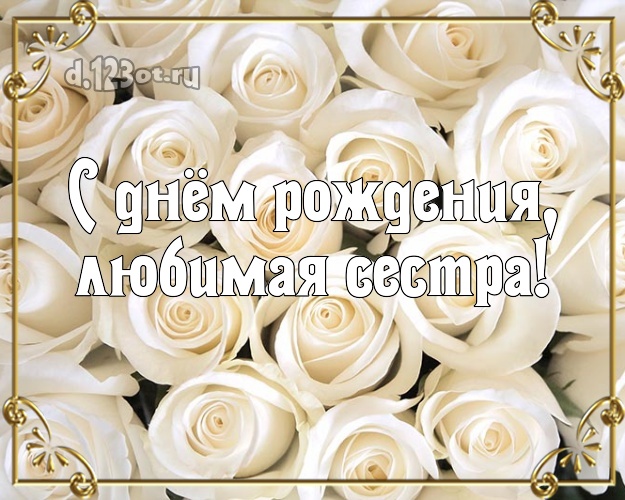 С днём рождения, любимая сестра! Чудесная картинка лучшей сестре на свете с красивой розой для вацап, для телеграм, для vk, для фейсбук, для одноклассники! Скачать онлайн бесплатно для вацап!