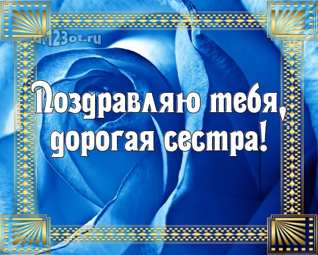 Поздравляю Тебя, дорогая сестра! Забавная открытка классной сестре с розочками для ватсапа, для телеграм, для вк, для фейсбук, для одноклассников! Скачать онлайн бесплатно для вацап!