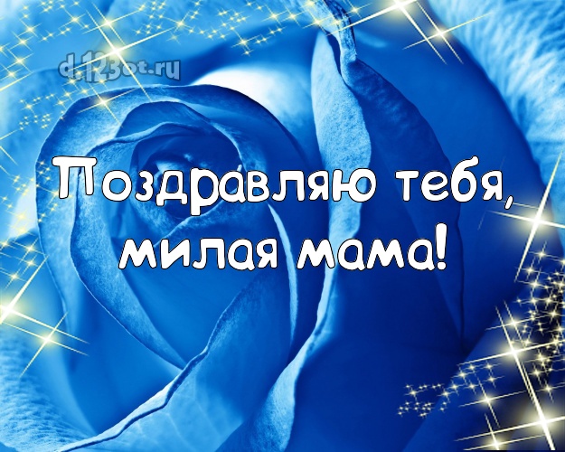 Поздравляю Тебя, милая мама! Душевная открытка лучшей маме на свете с фотками розы для whatsApp, для telegram, для vk, для фейсбука, для одноклассники! Скачать онлайн бесплатно для вацап!