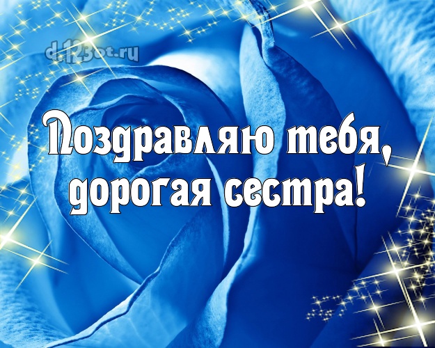 Поздравляю Тебя, дорогая сестра! Душевная картинка лучшей сестре на свете с розочками для ватсапа, для telegram, для вк, для фейсбука, для одноклассники! Скачать онлайн бесплатно для вацап!