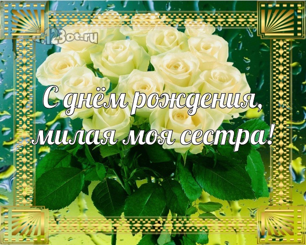 С днём рождения, милая моя сестра! Манящая картинка классной сестре с розочками для вацап, для telegram, для вконтакте, для фейсбука, для одноклассников! Скачать онлайн бесплатно для вацап!